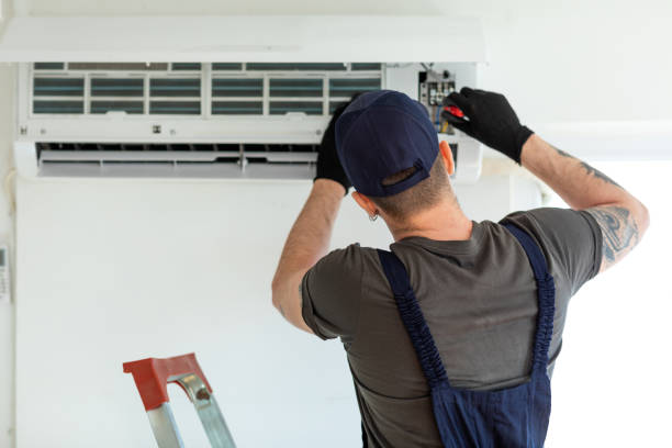 Best Professional Duct Cleaning Services  in Pea Ridge, FL