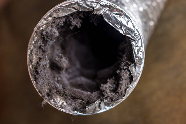 Best Residential Air Duct Cleaning  in Pea Ridge, FL