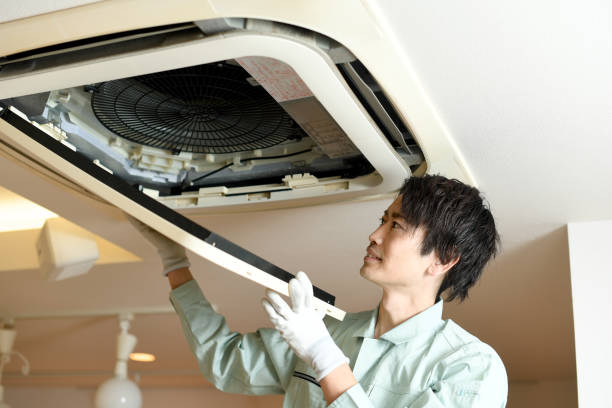 Best Local Air Duct Cleaning Services  in Pea Ridge, FL