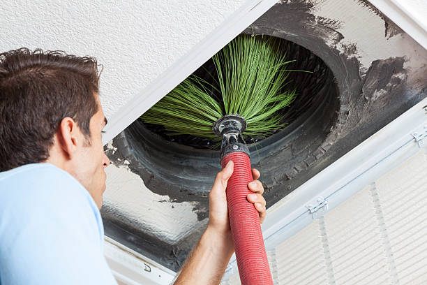 Best Ventilation Cleaning Services  in Pea Ridge, FL